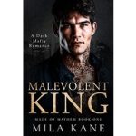 Malevolent King by Mila Kane ePub