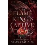 The Flame King's Captive by Chloe Chastaine ePub