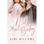 Mile High Baby by Ajme Williams ePub (1)