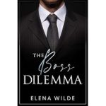 The Boss Dilemma by Elena Wilde ePub