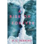 A Risk on Forever by N S Perkins ePub