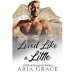 Loved Like a Little by Aria Grace ePub