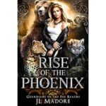 Rise of the Phoenix by JL Madore ePub