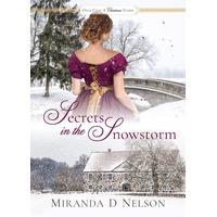 Secrets in the Snowstorm by Miranda D Nelson ePub