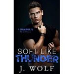Soft Like Thunder by Julia Wolf ePub
