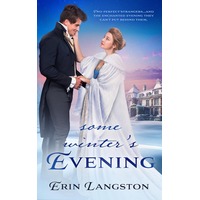Some Winter's Evening by Erin Langston ePub