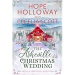 The Asheville Christmas Wedding by Hope Holloway ePub