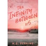 The Infinity Between Us by N.S. Perkins ePub