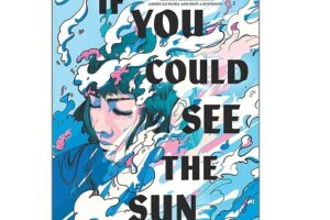 If You Could See the Sun by Ann Liang