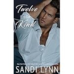 Twelve of a Kind by Sandi Lynn ePub