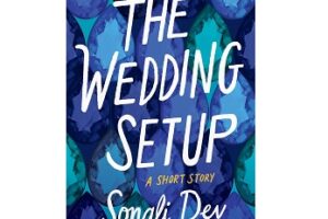 The Wedding Setup by Sonali Dev