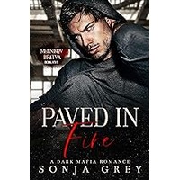 Paved in Fire by Sonja Grey ePub