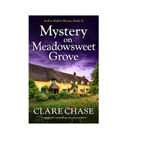 Mystery on Meadowsweet Grove by Clare Chase